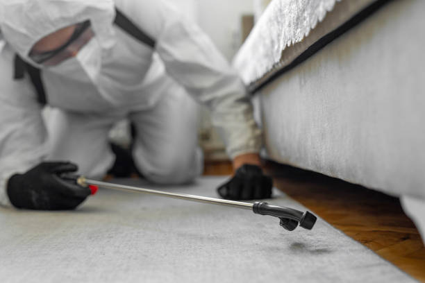 Professional Bed Bug Control technician working in Hughestown, PA