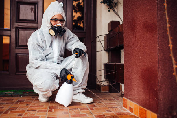 Reliable Bed Bug Control contractor in Hughestown, PA by Nex Pest Control