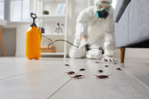 Trusted Rodent Control service in Hughestown, PA - Nex Pest Control
